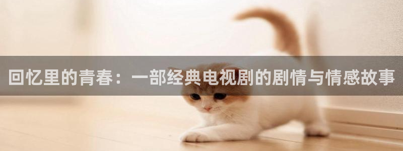 yy影院在线观看免费播放电视剧大全视：回忆里的青春：一部经典电视剧的剧情与情感故事