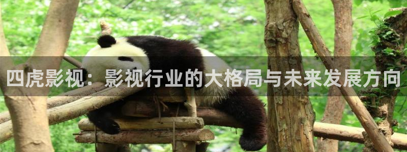 yy影院在线免费观看：四虎影视：影视行业的大格局与未来发展方向