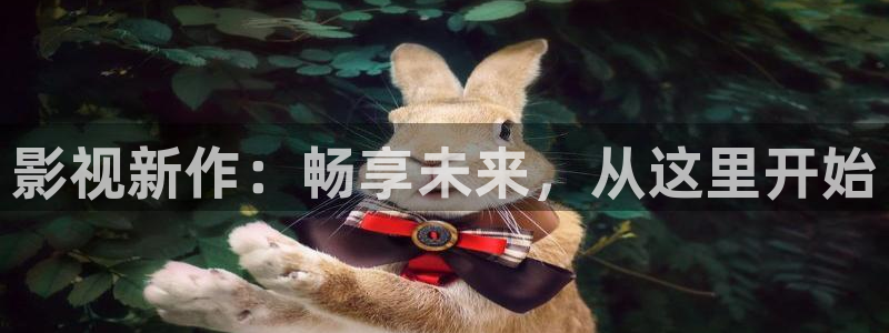 919yy影院免费观看：影视新作：畅享未来，从这里开始