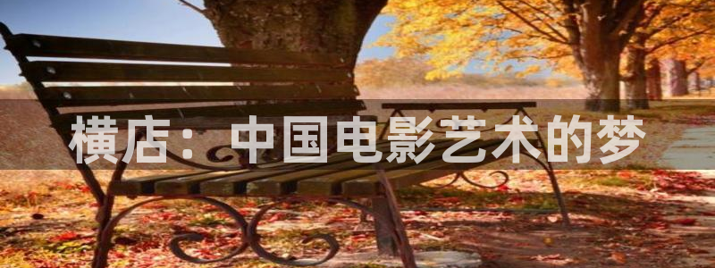 6080yy影院在线观看：横店：中国电影艺术的梦