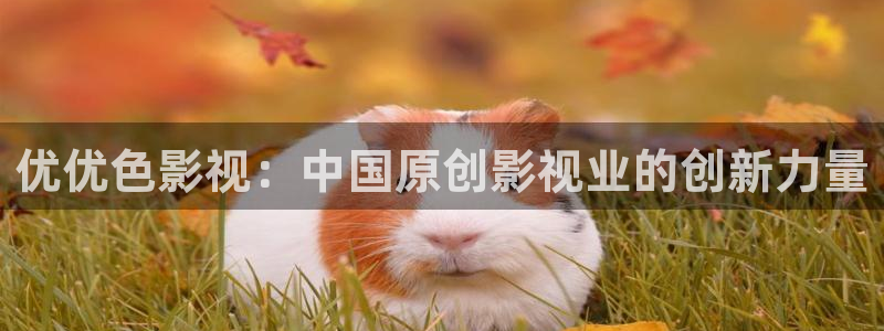 6080yy影院电视剧免费播放：优优色影视：中国原创影视业的创新力量